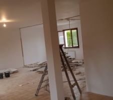 Demolition des cloisons du bas pour agrandissement de la piece a vivre (vue depuis la cuisine)