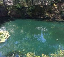 Etang au bord de l'habitation. nettoyage en cours