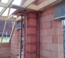 Conduit de cheminée