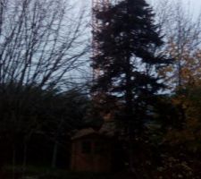 Grue au dessus jardin