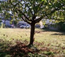 Vue du terrain sous le soleil !