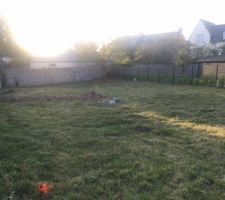 Vue du terrain, avec le bornage