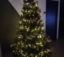 Sapin de Noël