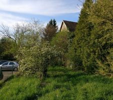 Le jardin, avec le toit de la grange que nous allons démolir, et sur le coté, le parking des employés du SuperU. Avec une jolie haie, on sera bien isolés ;)