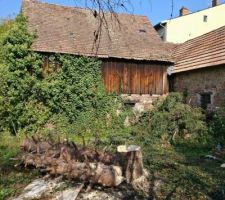 Pendant l'&eacute;t&eacute;, nous avons d&eacute;broussaill&eacute; le terrain (dont un &eacute;pic&eacute;a d'une bonne quinzaine de m&egrave;tres de haut que nous avons abattu). On voit bien maintenant la grange qui va &ecirc;tre d&eacute;molie, et sur le c&ocirc;t&eacute;, l'&eacute;table que nous conservons et sur laquelle la maison va s'accoler