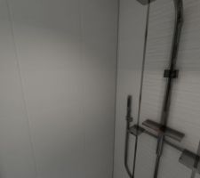 Choix faience - SDB RdC