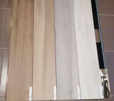 Carrelage du RDC effet parquet (couleur nature le 2e en partant de la gauche)