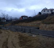 Vide sanitaire en cours