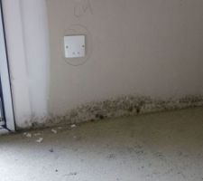 Humidité ?
