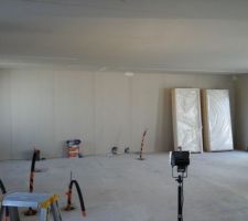 Pose des cloisons et placo au plafond.