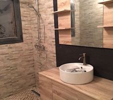 Pose du meuble et miroir avec les raccordements.