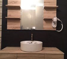 Pose du meuble et miroir avec les raccordements.