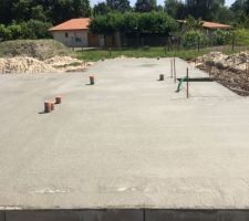 Vide sanitaire