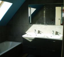 Le meuble de salle de bain avec l'armoire encastr&eacute;e