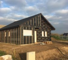 Terrassement et uniformisation du terrain