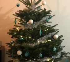 1er sapin de noel a la maison