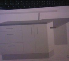 Gros plan de l'ilot.
il manque sur la photo le jambage a droite qui soutient la "planche" bar.
jambage d'un seul cote comme sur la photo couleur.