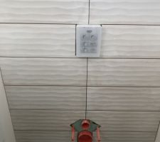 WC invitée