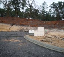 Changement de couleur en hiver