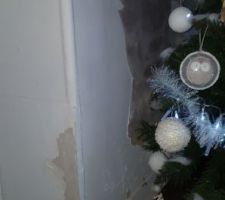 Le mur est pourri par l'humidité !