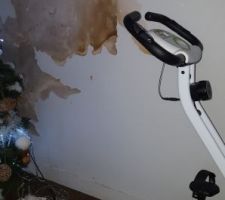 Mur humide