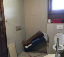 Salle d'eau Amis