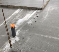 Oups, un chat est passé par là...