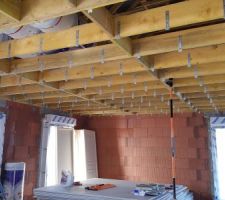 Plafond en cours