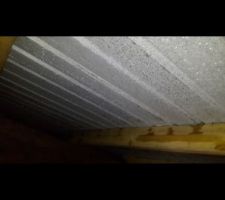 Voila une photo ou il y a forme de condensation importante