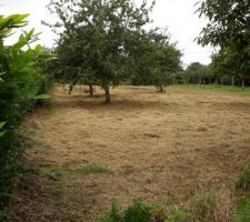 Vu du fond du terrain