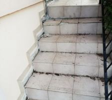 Escalier de la terrasse