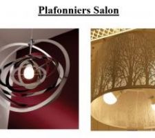 Planche : Plafonnier du Salon