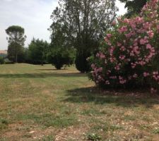 Le terrain (photo de l'annonce)