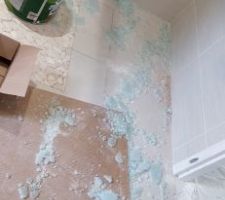 Paroi douche explos&eacute;e