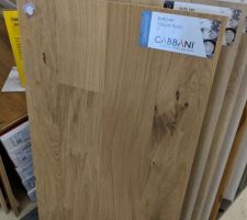 Parquet séjour : Cabbani Elite Natural Rustic