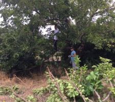 Pr&eacute;paration du terrain