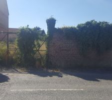 Ma future entr&eacute;e ...