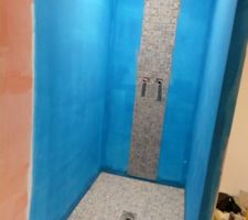 Carrelage douche salle de bain en cours