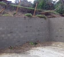 Le mur du sous-sol venait d'être coulé quelques heures avant l'affaissement du terrain et a été déformé.