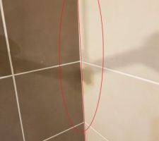 Le carrelage de la salle de bain est bombé, ça se voit facilement à l'oeil nu (pas facile sur la photo)