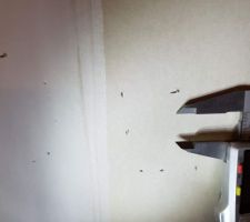 Impacts non rebouchés