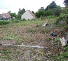 Terrain après un "léger" défrichement...