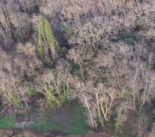 Etat inital du terrain