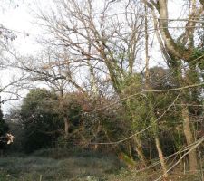 Etat initial du terrain