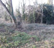 Etat initial du terrain