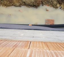 Le Delta MS pour l'&eacute;tanch&eacute;it&eacute; pas tr&egrave;s &eacute;tanche...