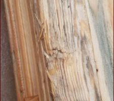 Etat de quelques poutrelles de la toiture