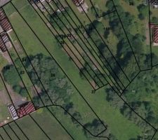 Le terrain avec ses arbres avant le d&eacute;but du chantier...