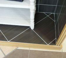 Carrelage que nous avons choisis pour les WC chez carrelage roger (posé par le constructeur)