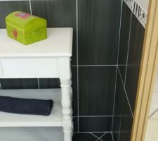 Nous prendrons la faïence qui va avec pour les WC et la poserons nous même.